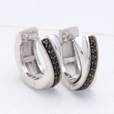 HARRISBURG AT NIGHT EARRINGS IN STERLING SILVER by EQUALLI.COM