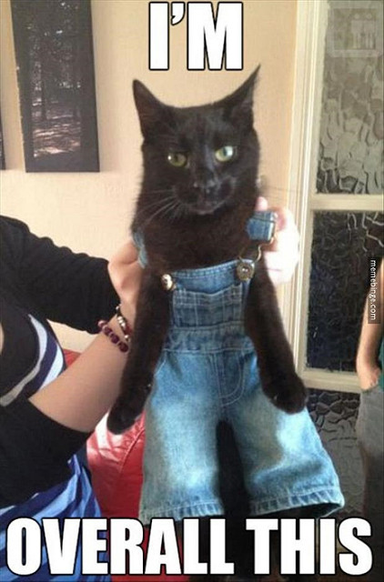 CatOveralls